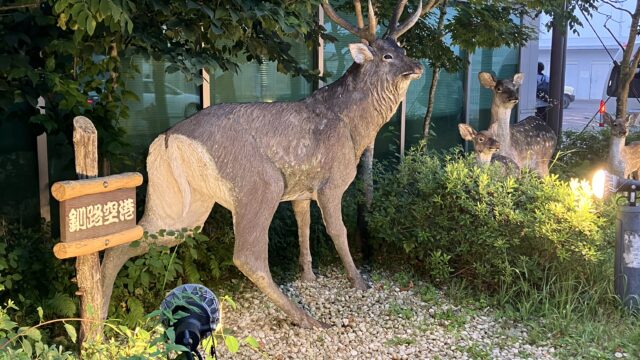 北海道の自然に触れて友達のたくましさを想う